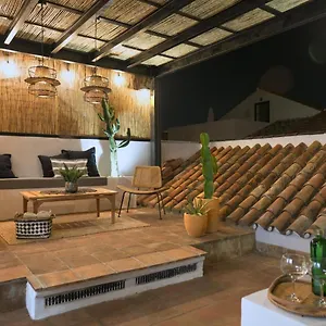 Old Center Penthouse , Malaga Spain